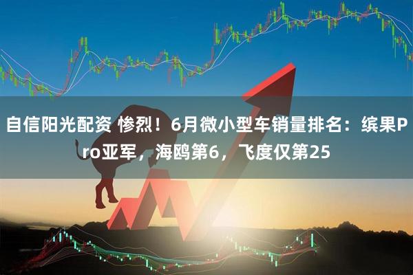 自信阳光配资 惨烈！6月微小型车销量排名：缤果Pro亚军，海鸥第6，飞度仅第25